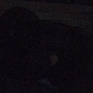 Meet your Posher, Wayne